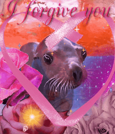 A Picture Of A Seal In A Heart With The Words " I Forgive You " On It GIF