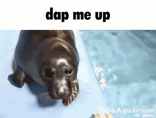 A Picture Of A Seal That Says " Dap Me Up " On It GIF