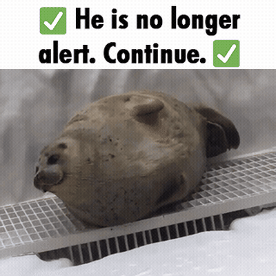 A Picture Of A Seal That Says He Is No Longer Alert GIF
