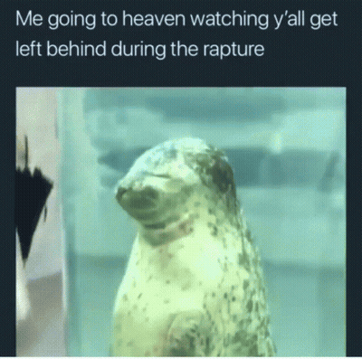A Picture Of A Seal With The Caption Me Going To Heaven Watching Y 'All Get Left Behind During The Rapture . GIF