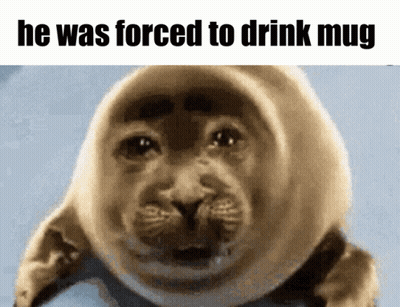 A Picture Of A Seal With The Words He Was Forced To Drink Mug Below It GIF