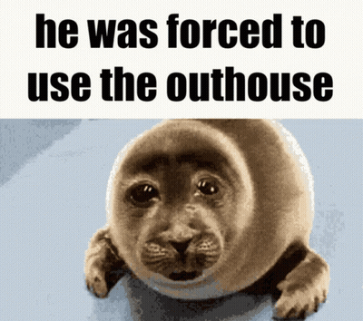 A Picture Of A Seal With The Words He Was Forced To Use The Outhouse Above It GIF