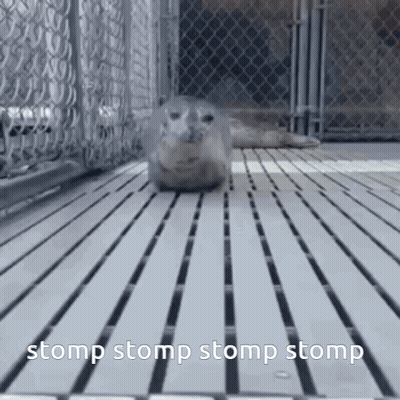 A Picture Of A Seal With The Words Stomp Stomp Stomp Stomp In The Corner GIF