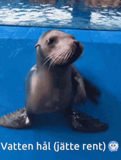 A Picture Of A Seal With The Words Vatten Hal ( Jette Rent ) Under It GIF