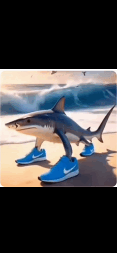 A Picture Of A Shark Wearing Blue Nike Shoes GIF