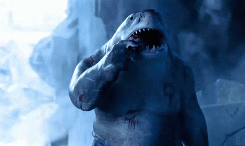 A Picture Of A Shark With The Word Bo On The Bottom Left GIF