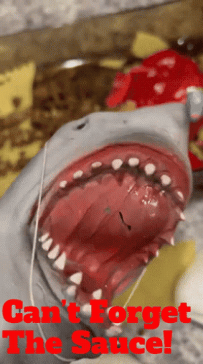 A Picture Of A Shark With The Words " Can 'T Forget The Sauce " On The Bottom GIF