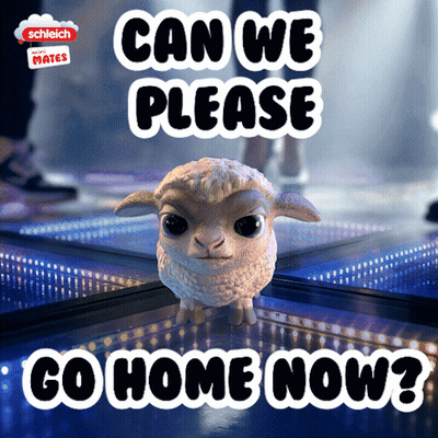 A Picture Of A Sheep With The Words Can We Please Go Home Now Below It GIF