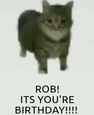 A Picture Of A Sheep With The Words `` Rob ! Its Your Birthday !!! '' Written On It . GIF