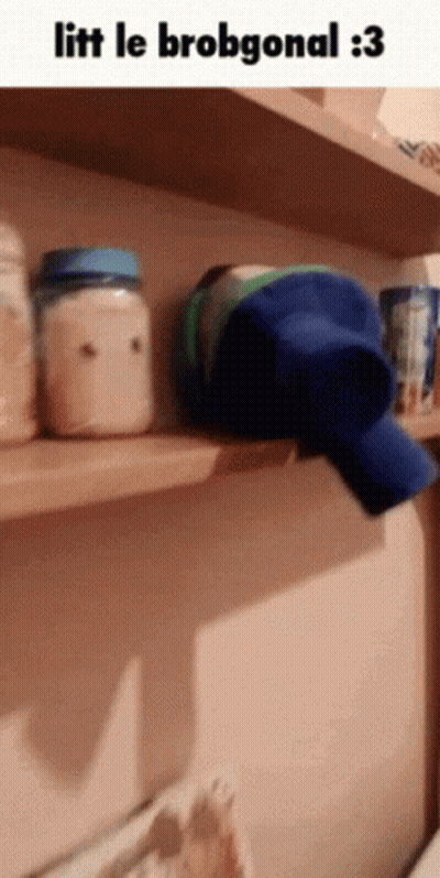 A Picture Of A Shelf With A Bottle On It And The Words Litt Le Brobgonal : 3 GIF