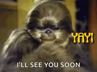 A Picture Of A Shih Tzu Dog With The Words " I 'Ll See You Soon " Above It GIF