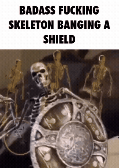 A Picture Of A Skeleton Holding A Shield With The Words Badass Fucking Skeleton Banging A Shield GIF