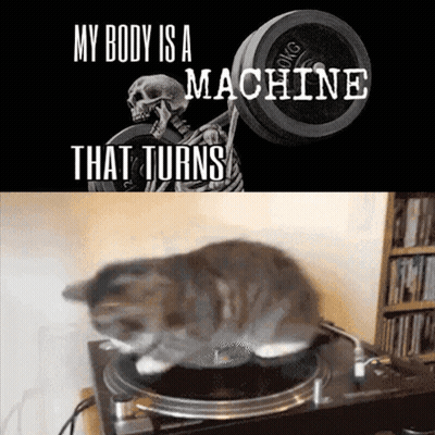 A Picture Of A Skeleton Lifting Weights And A Picture Of A Cat On A Record GIF