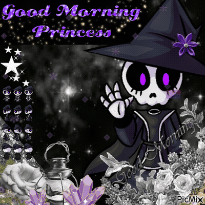 A Picture Of A Skeleton Wearing A Witch Hat With The Words Good Morning Princess GIF