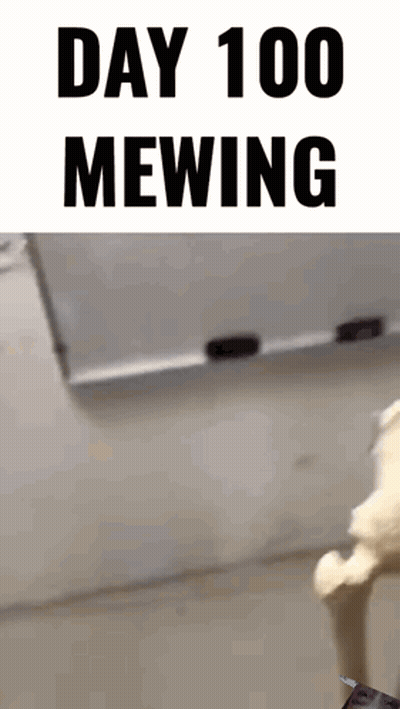 A Picture Of A Skeleton With The Words Day 100 Mewing Above It GIF