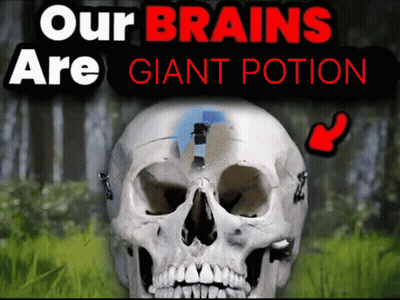 A Picture Of A Skull With The Words Our Brains Are Giant Potion GIF