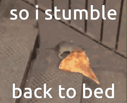 A Picture Of A Slice Of Pizza With The Words So I Stumble Back To Bed GIF