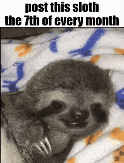 A Picture Of A Sloth Laying On A Blanket With The Caption Post This Sloth The 7Th Of Every Month . GIF