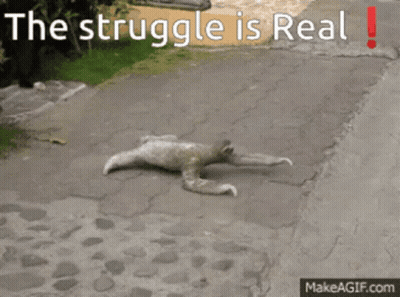 A Picture Of A Sloth Laying On The Ground With The Words The Struggle Is Real Below It GIF