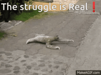 A Picture Of A Sloth On The Ground With The Words The Struggle Is Real Above It GIF