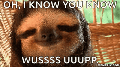 A Picture Of A Sloth With A Caption That Says Oh I Know You Know Wusss Uuupp GIF