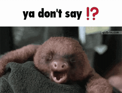 A Picture Of A Sloth With Its Mouth Open And The Words Ya Don 'T Say Below It GIF