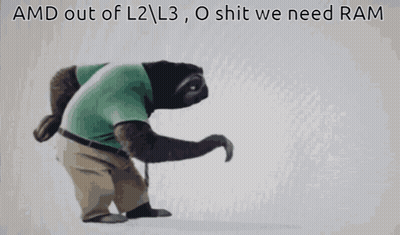 A Picture Of A Sloth With The Words Amd Out Of L2 L3 O Shit We Need Ram Below It GIF