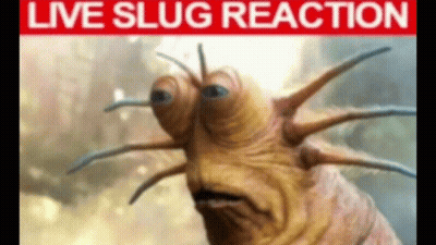 A Picture Of A Slug With A Live Slug Reaction Written On The Bottom GIF