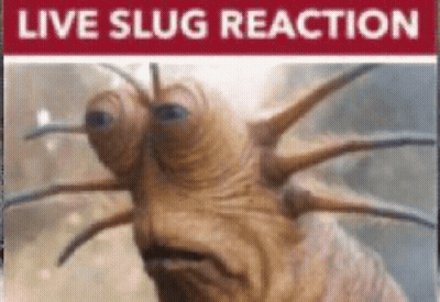 A Picture Of A Slug With A Red Sign That Says Live Slug Reaction On It . GIF