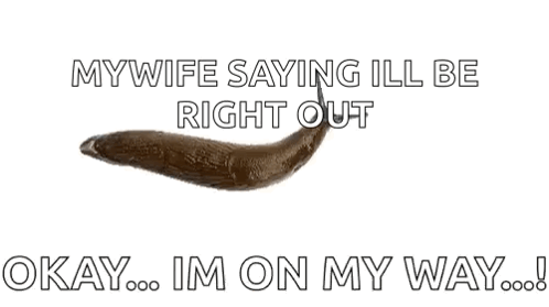 A Picture Of A Slug With The Words " Mywife Saying Ill Be Right Out Okay Im On My Way " GIF