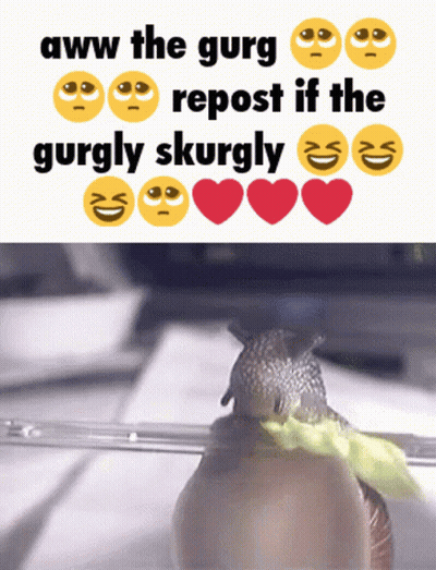 A Picture Of A Snail Next To A Text That Says Aww The Gurg Repost If The Gurgly Skurgly GIF
