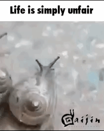 A Picture Of A Snail With The Words Life Is Simply Unfair On It GIF