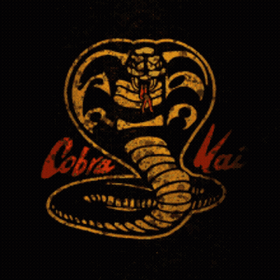 A Picture Of A Snake With The Words Cobra Kai On It GIF
