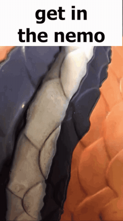 A Picture Of A Snake With The Words Get In The Nemo GIF