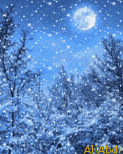 A Picture Of A Snowy Forest With The Name Aliabdi On The Bottom Right GIF