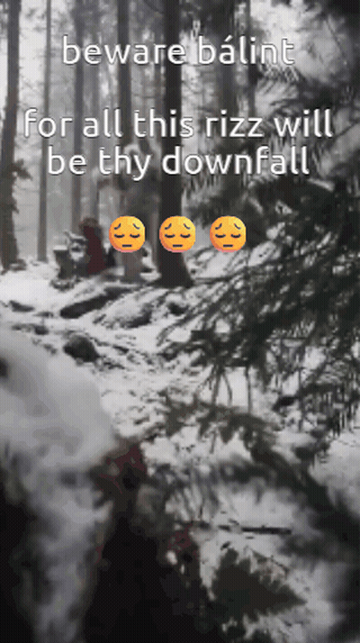 A Picture Of A Snowy Forest With The Words Beware Balint GIF