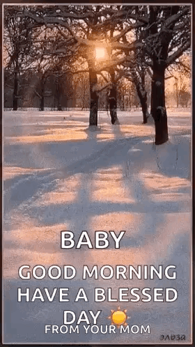 A Picture Of A Snowy Park With The Sun Shining Through The Trees . GIF