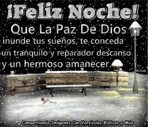 A Picture Of A Snowy Park With The Words " Feliz Noche " On It GIF