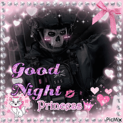 A Picture Of A Soldier With The Words " Good Night Princess " GIF