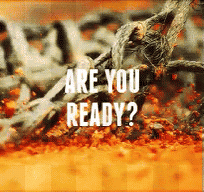 A Picture Of A Spider With The Words " Are You Ready " On It GIF