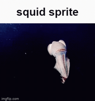 A Picture Of A Squid With The Words Squid Sprite Written Above It . GIF