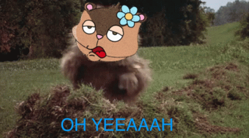 A Picture Of A Squirrel With A Flower On Its Head And The Words Oh Yeeaaah Below It GIF