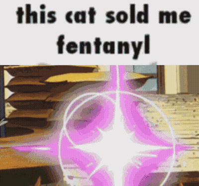 A Picture Of A Stack Of Cardboard Boxes Next To A Picture Of A Purple Star That Says This Cat Sold Me Fentanyl GIF