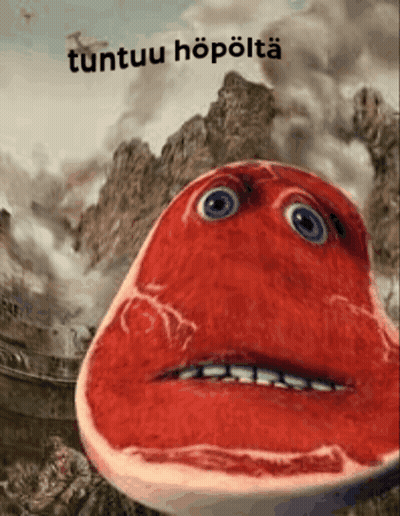 A Picture Of A Steak With A Face And The Words Tuntuu Hopolta On The Bottom GIF