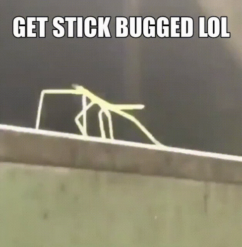 A Picture Of A Stick Bug With The Words Get Stick Bugged Lol Below It GIF