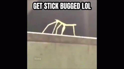 A Picture Of A Stick That Says Get Stick Bugged Lol On It GIF