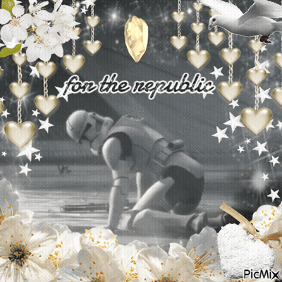 A Picture Of A Storm Trooper With The Words For The Republic On It GIF
