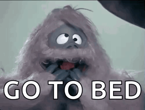 A Picture Of A Stuffed Animal With The Words Go To Bed Below It . GIF