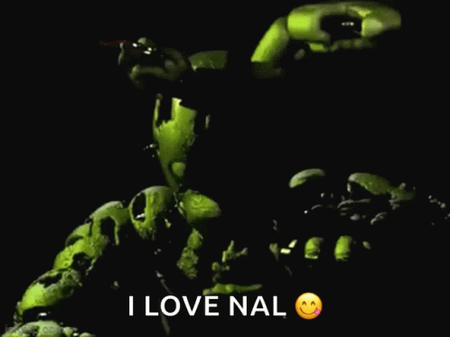 A Picture Of A Stuffed Animal With The Words I Love Nal Below It GIF