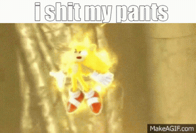 A Picture Of A Stuffed Animal With The Words I Shit My Pants On It GIF